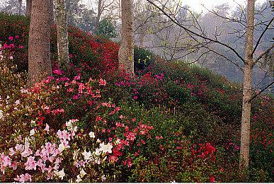 动作冒险《创战纪：催化剂》公布 2025年发售